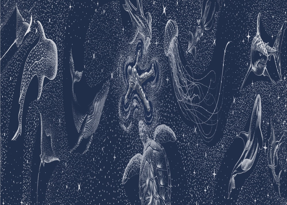 Cosmic Ocean Dream