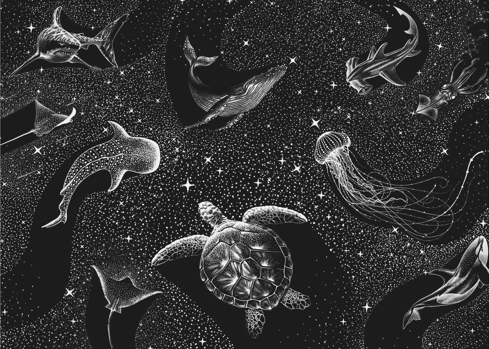 Cosmic Ocean (svart versjon)