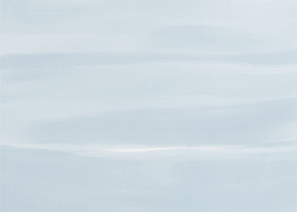 Flymodus