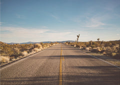Open Desert Road