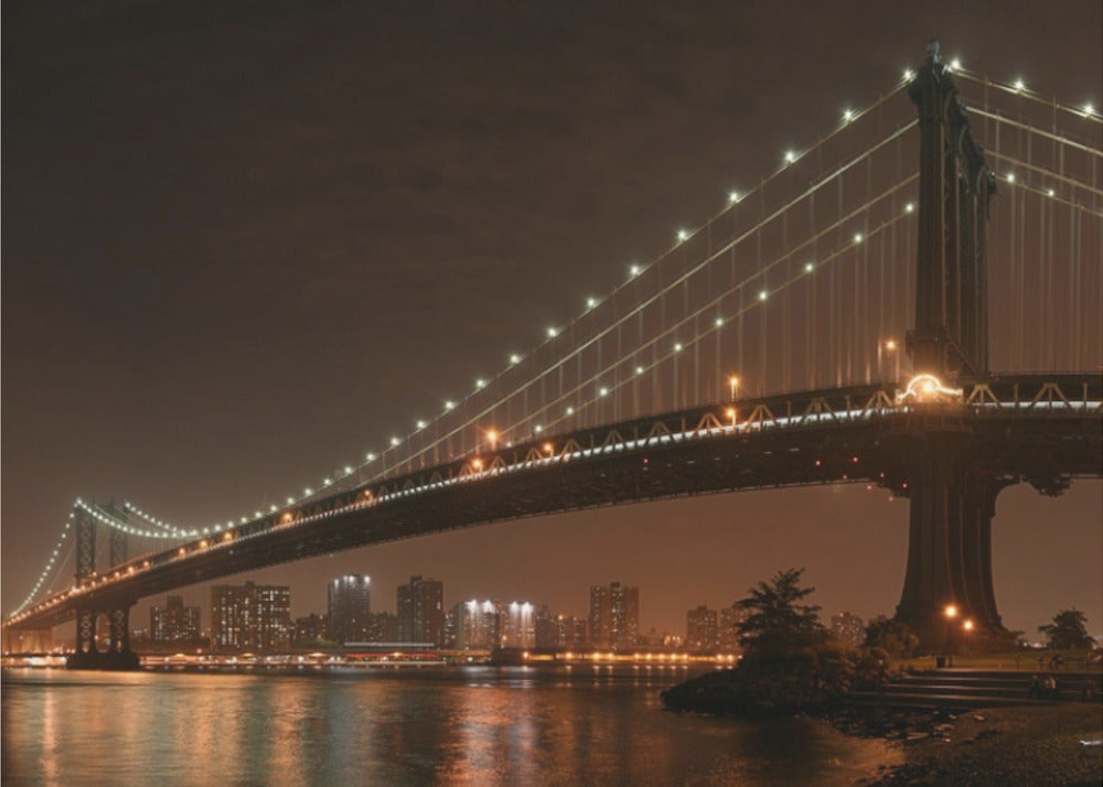 The 2 lovers under Manhattan Bridge