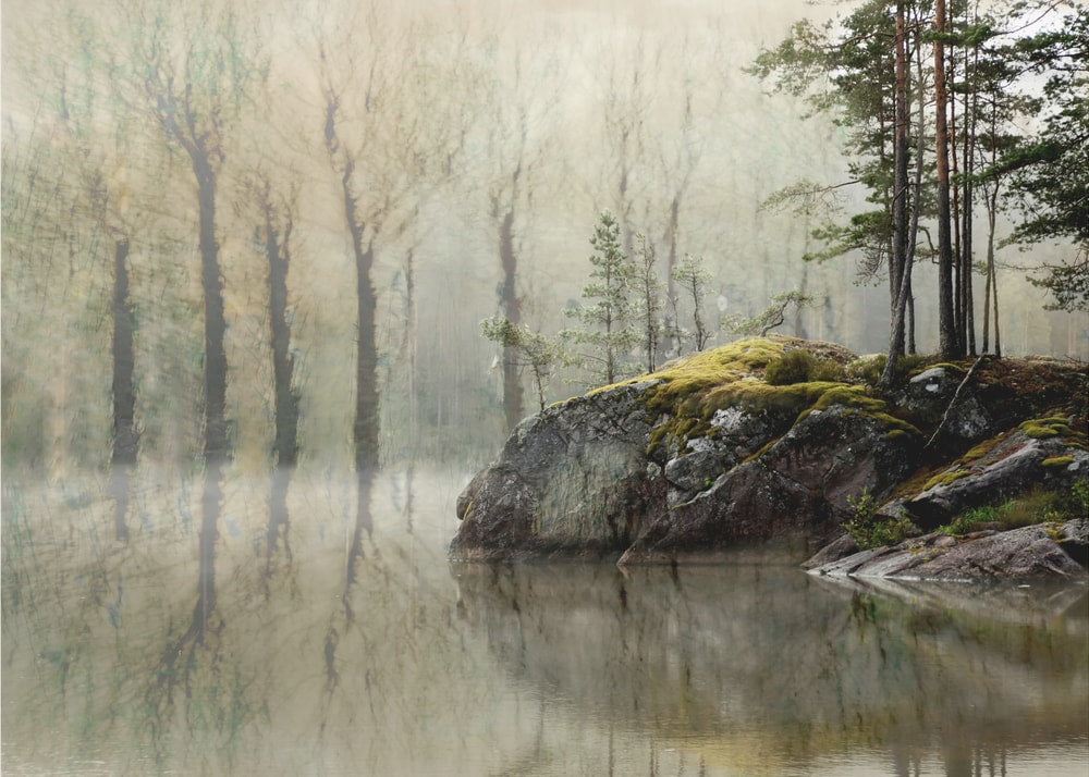 Misty Forest Lake