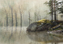 Misty Forest Lake