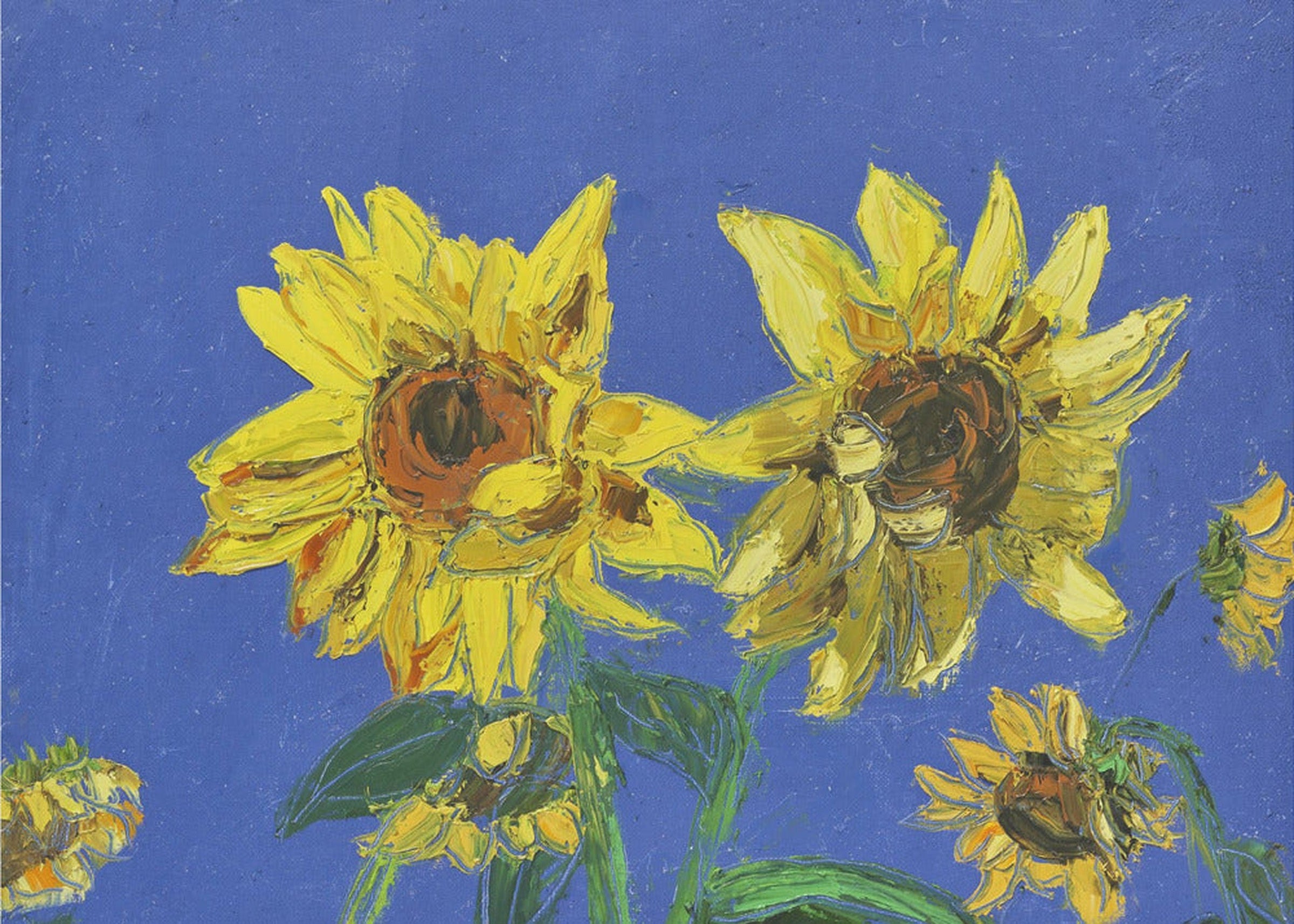 Sunflowers