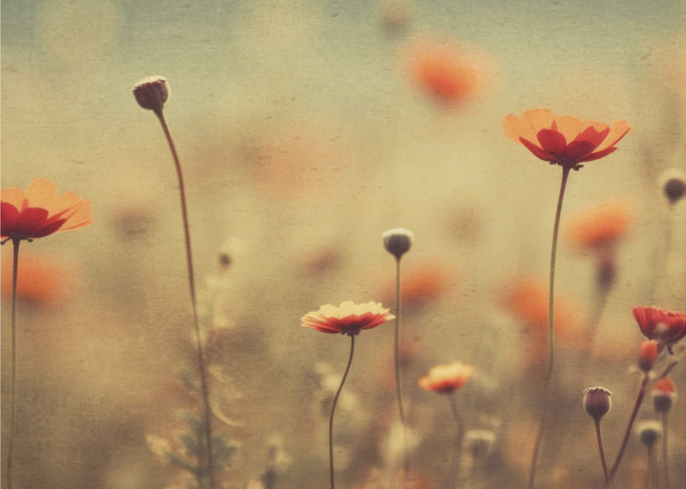 Nostalgic nature no 22