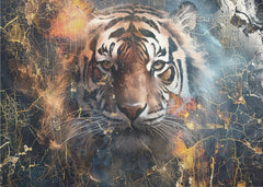 Elemental Tiger Power