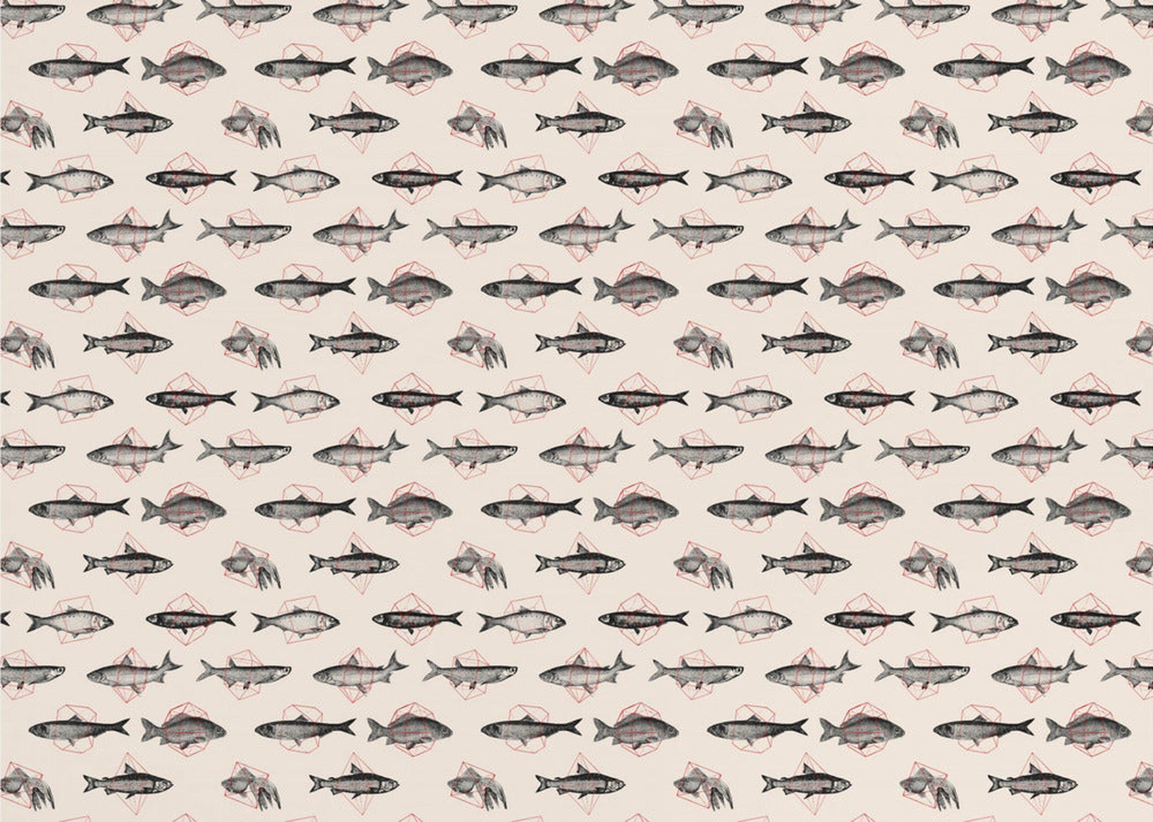 Fish In Geometrics Nº1