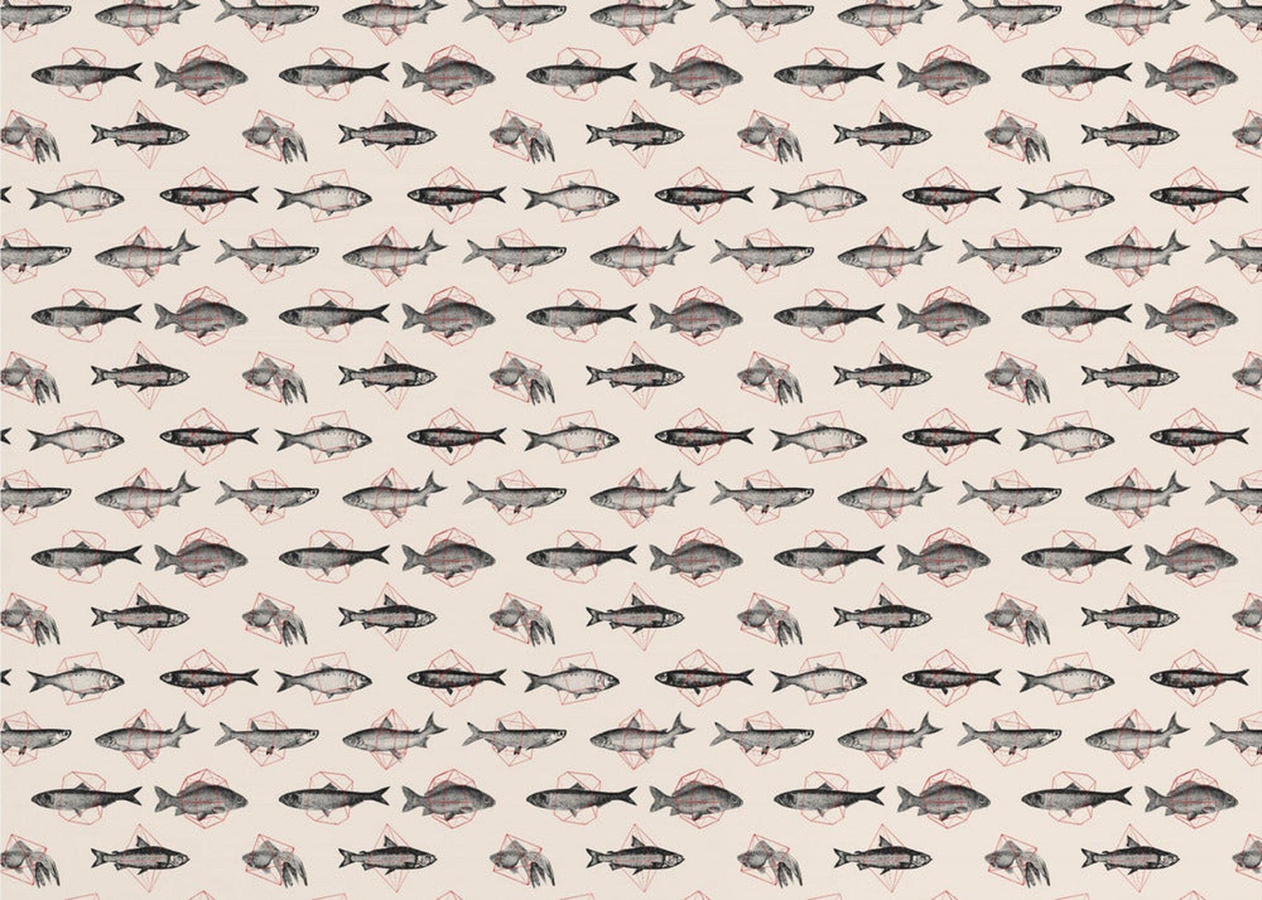 Fish In Geometrics Nº1