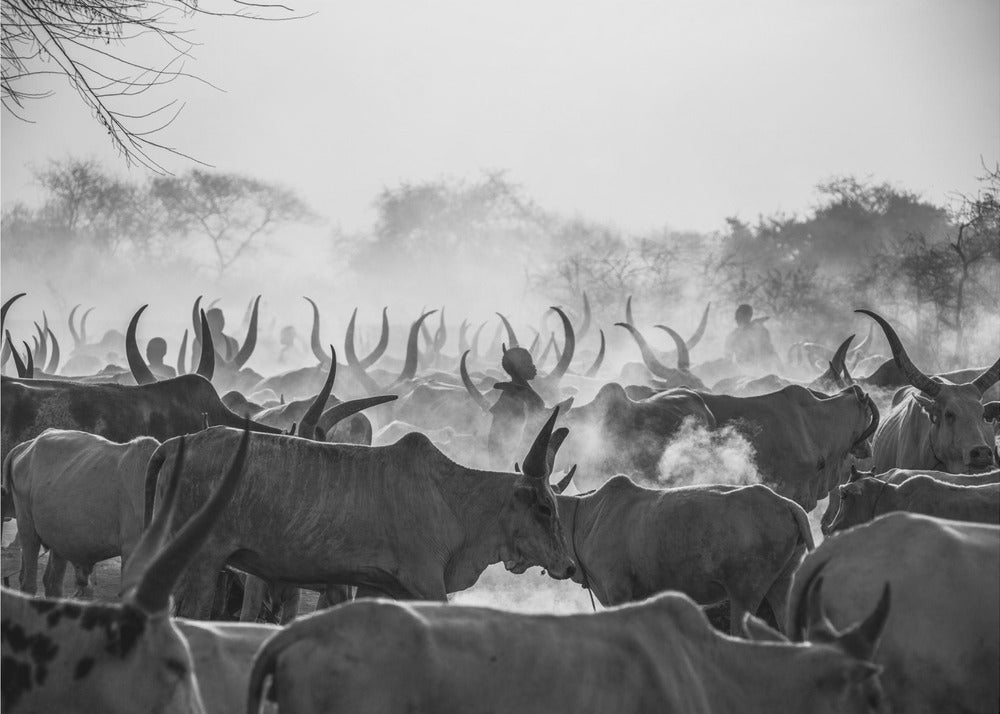 Shadows of Mundari