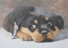 Big Dog Little Man