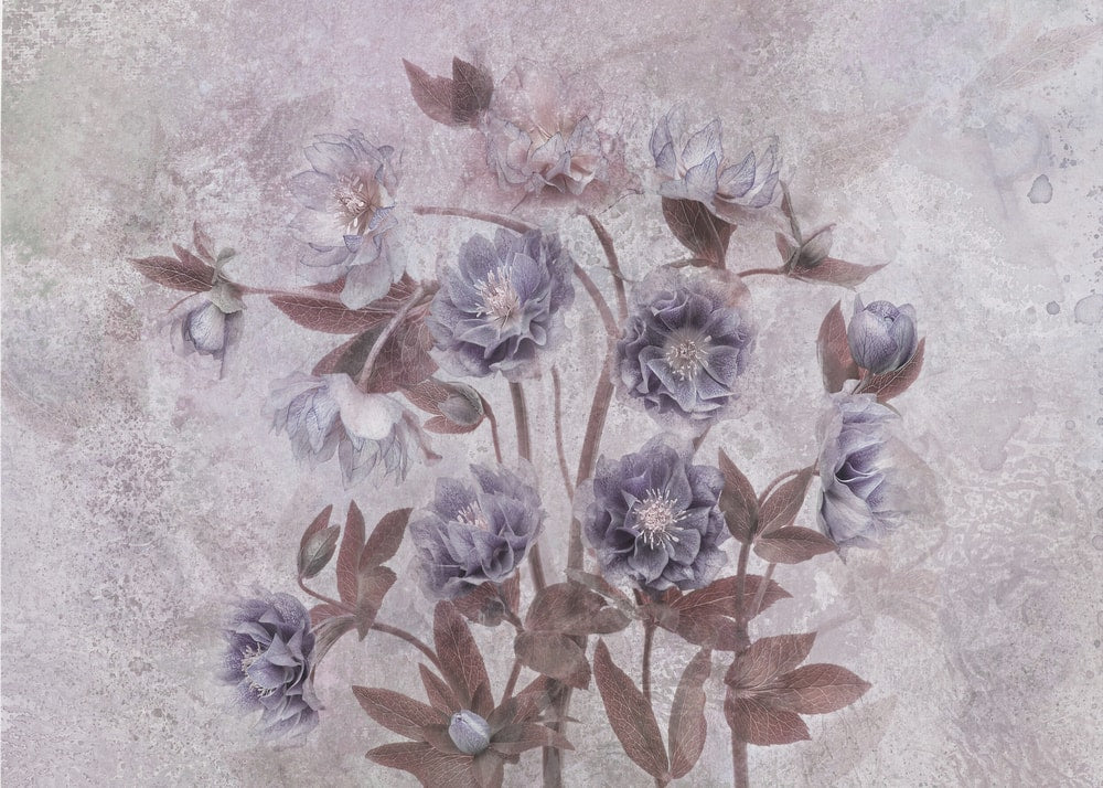 Dreamy Lavender Blossoms