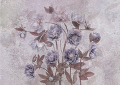 Dreamy Lavender Blossoms