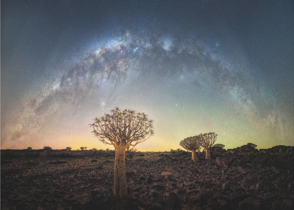 Stars Over Quiver Trees