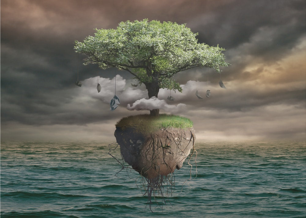 Floating Money Tree Island