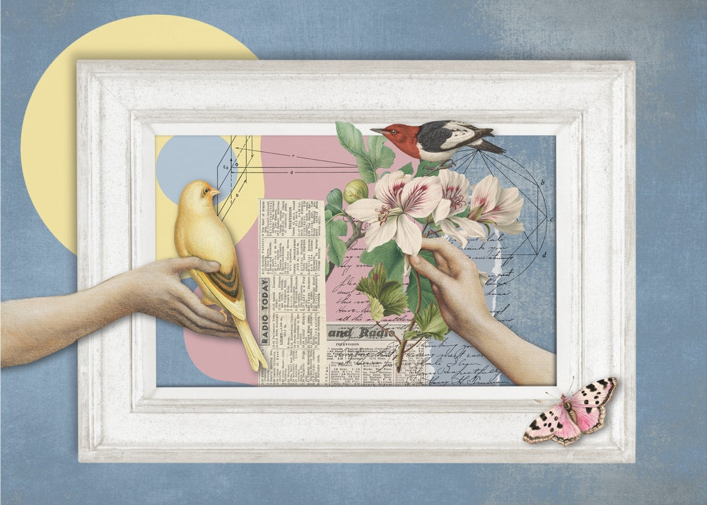 Delicate Nature Collage