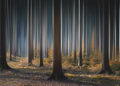 Skog Mystic Wood – kvalitetsprodukt för ett vackrare och mer hållbart hem