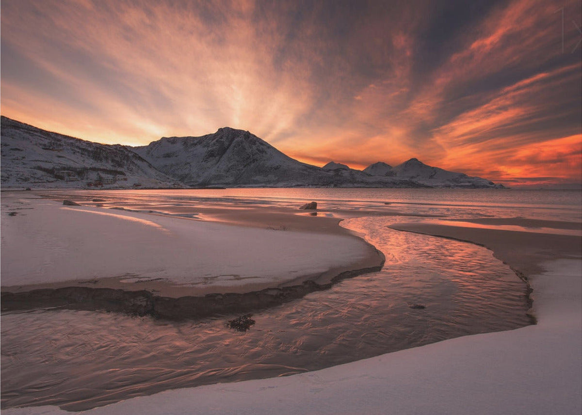 Golden Sunset