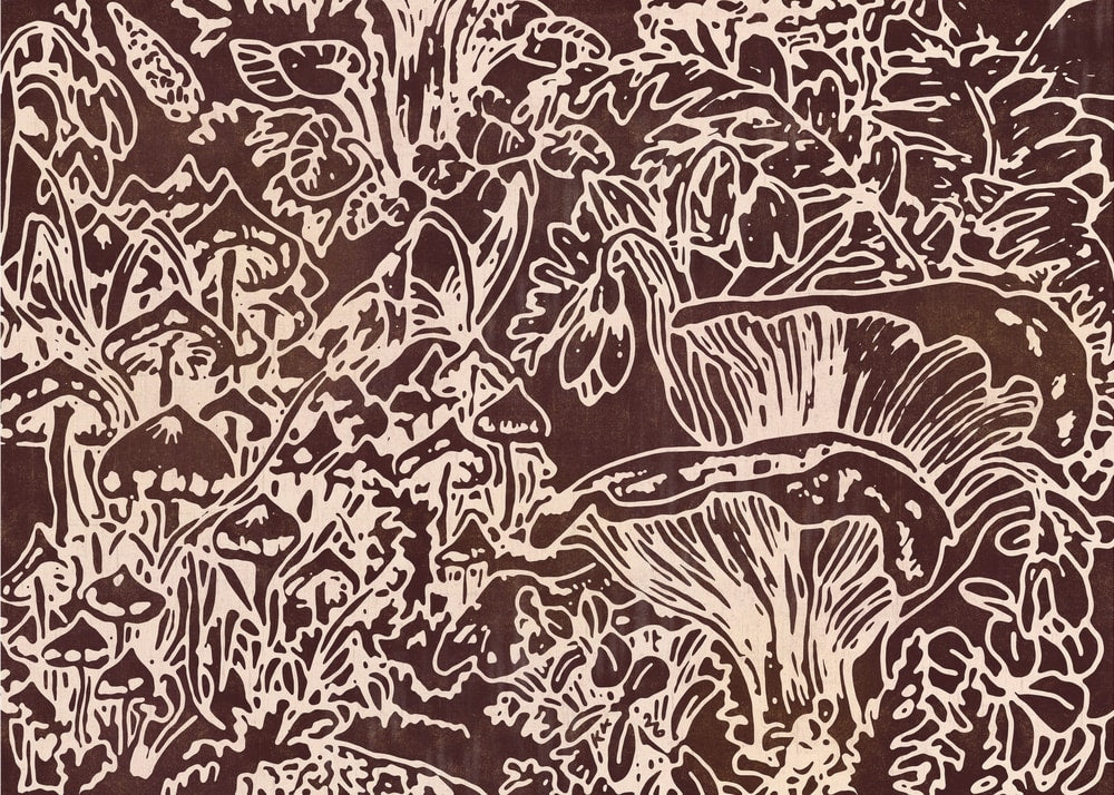 Wild Mushroom Woodland