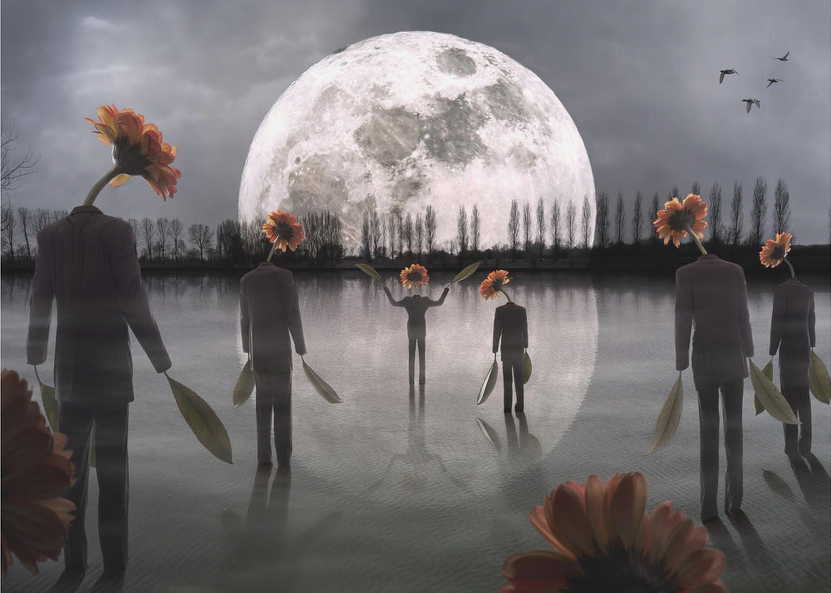 The Mysterious Cult