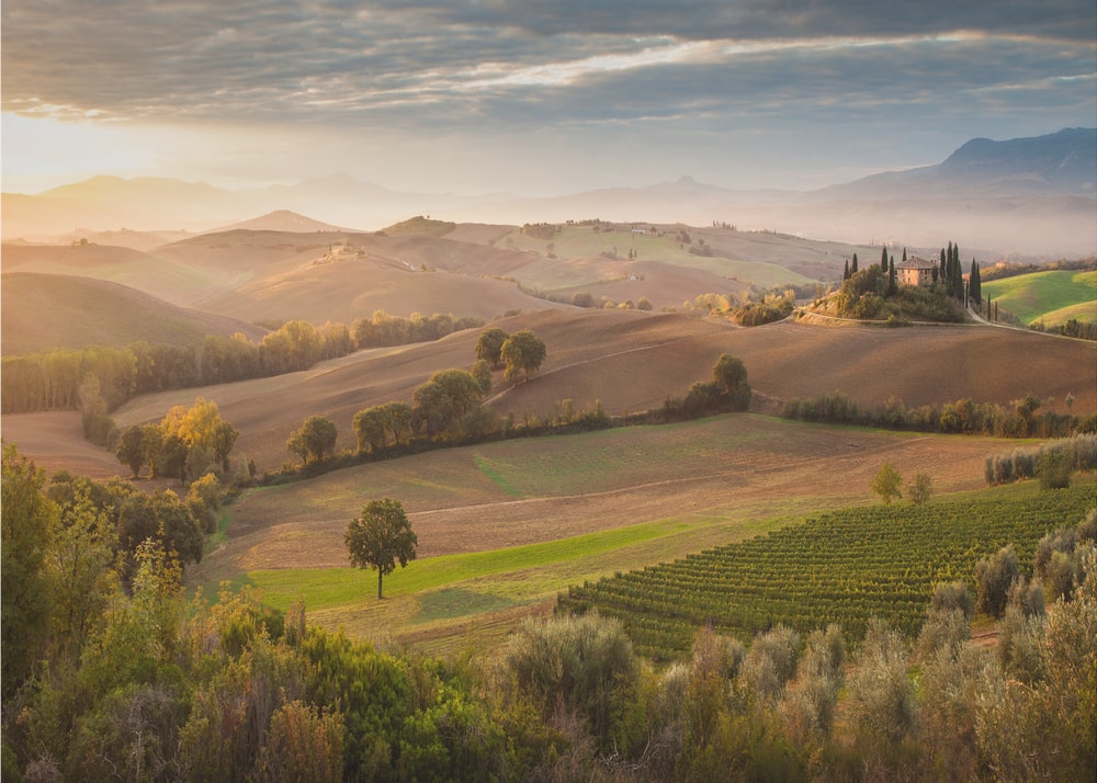 Tuscan Morning Glow
