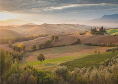 Tuscan Morning Glow