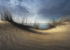 Landskap Dunes – kvalitetsprodukt för ett vackrare och mer hållbart hem