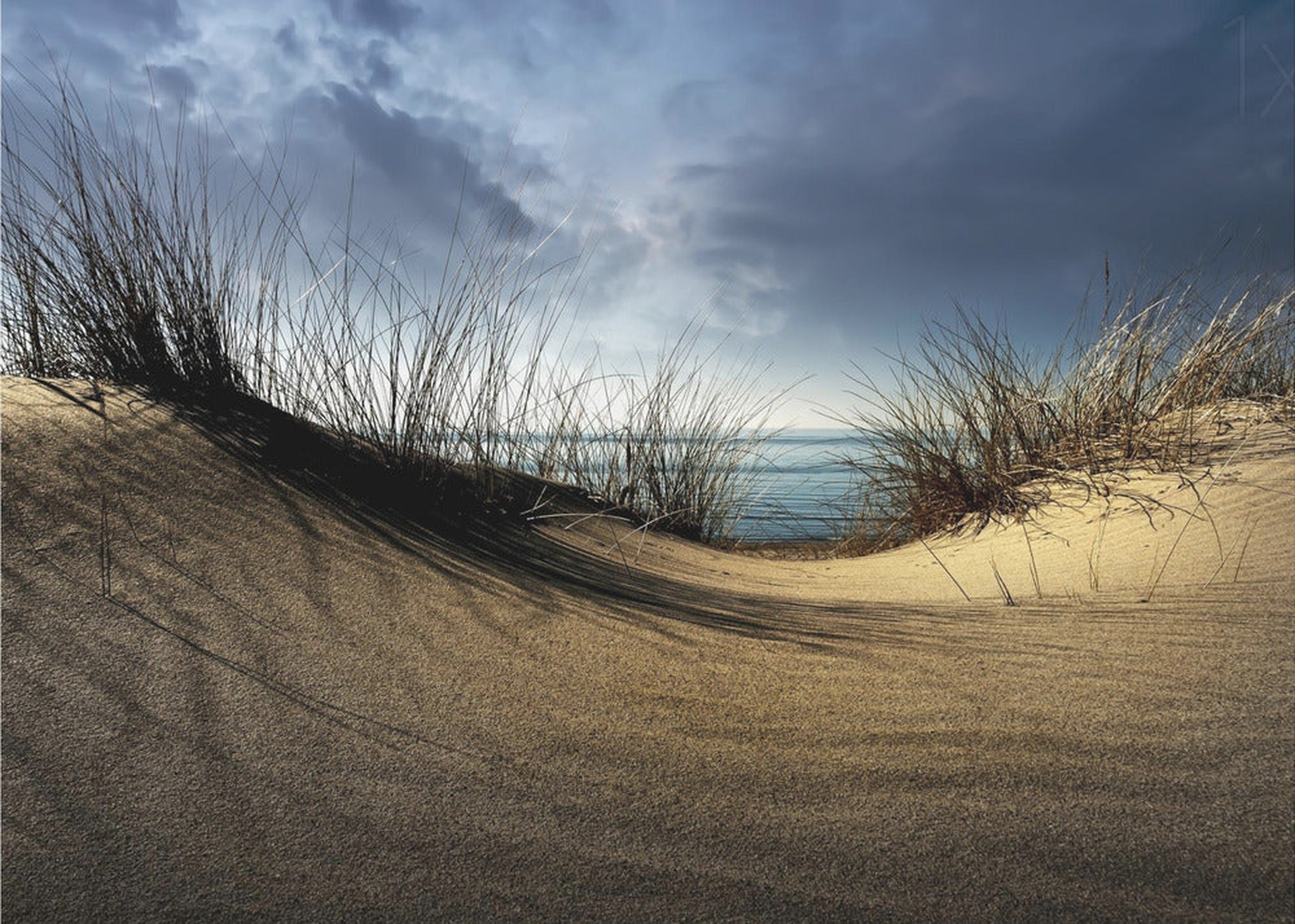 Dunes...........