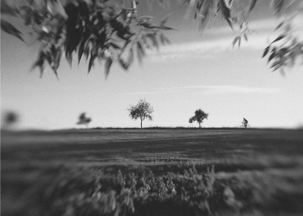 Lone Rider Landscape