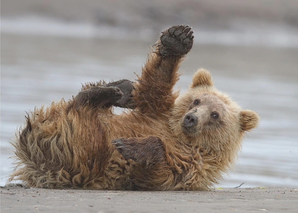 High Five