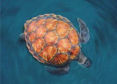 Djur spin turtle – kvalitetsprodukt för ett vackrare och mer hållbart hem