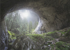 Misty Forest Cave Arch