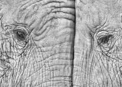 Djur Two elephants – kvalitetsprodukt för ett vackrare och mer hållbart hem
