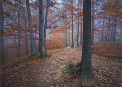 Skog I was lost I was found – kvalitetsprodukt för ett vackrare och mer hållbart hem