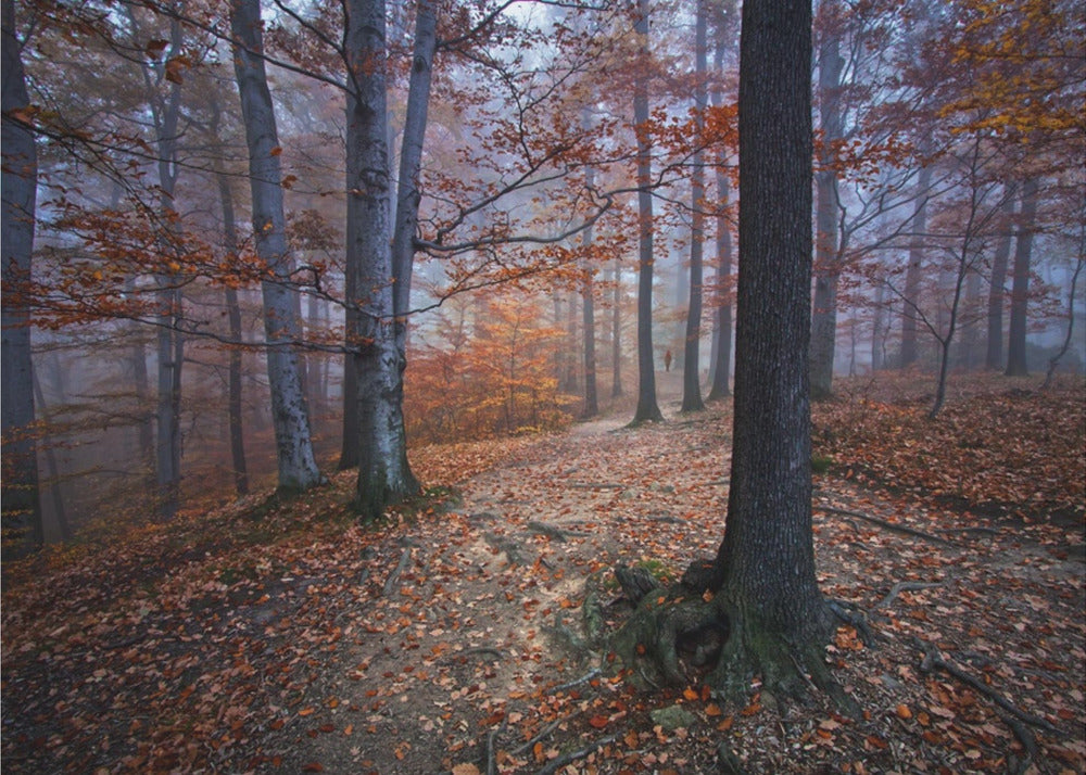 I was lost, I was found.