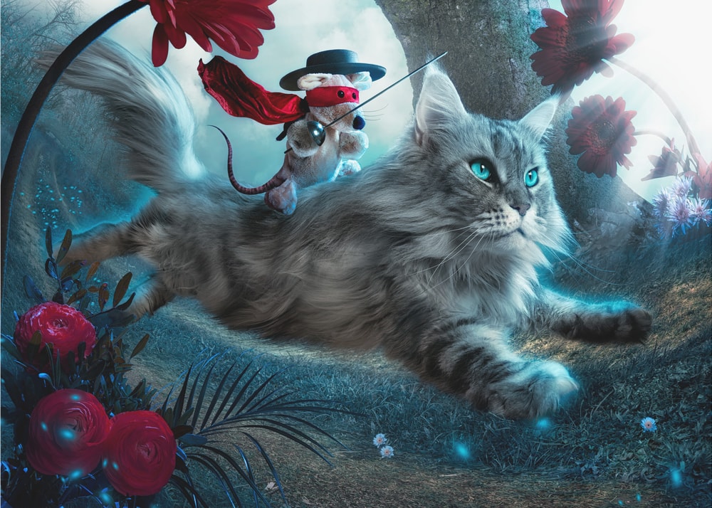 Whispers of a Wondrous Ride