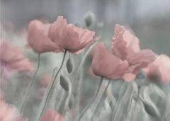 Blommor Softly – kvalitetsprodukt för ett vackrare och mer hållbart hem