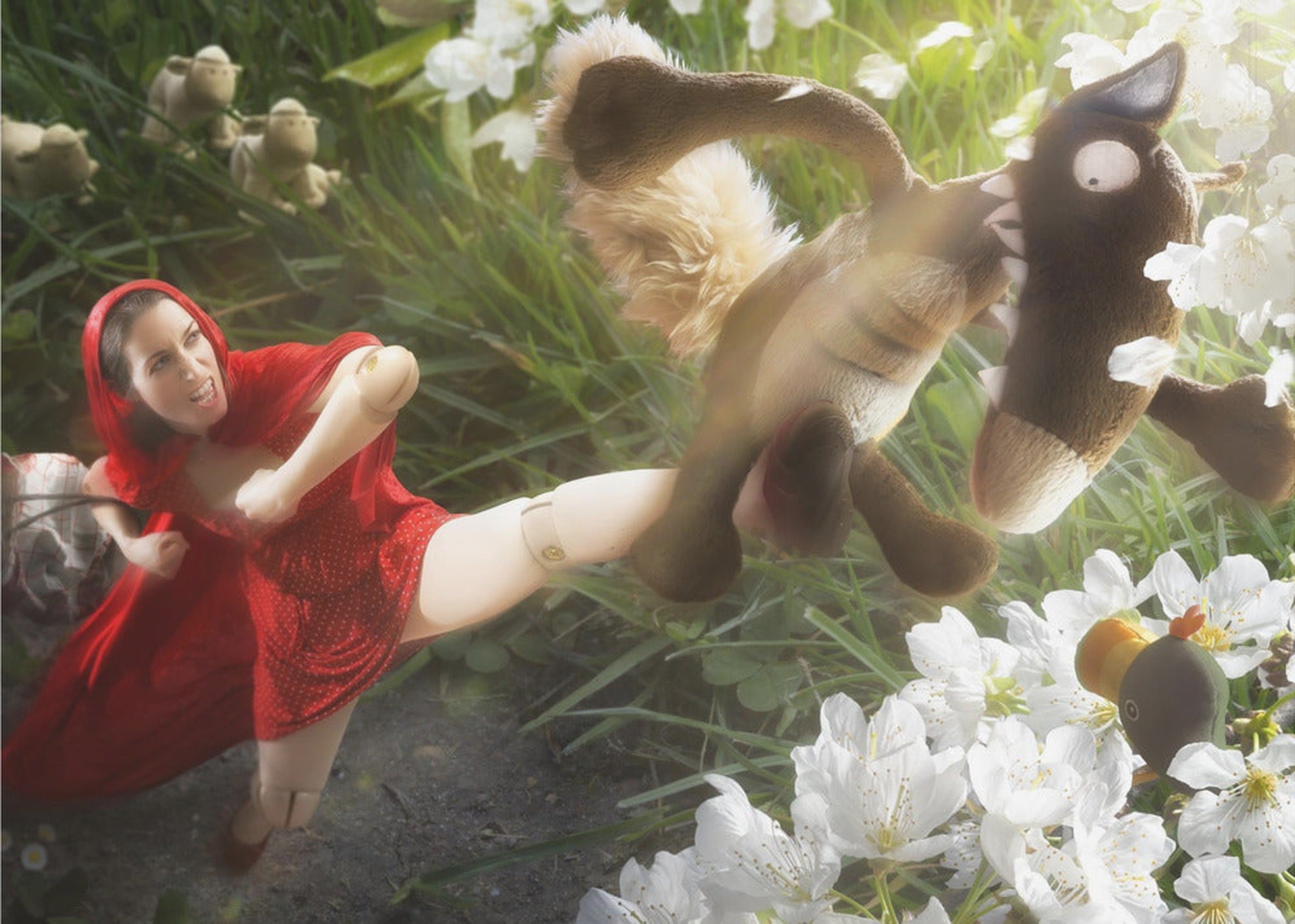Little Red Nutcracker