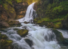 Radiant Forest Waterfall