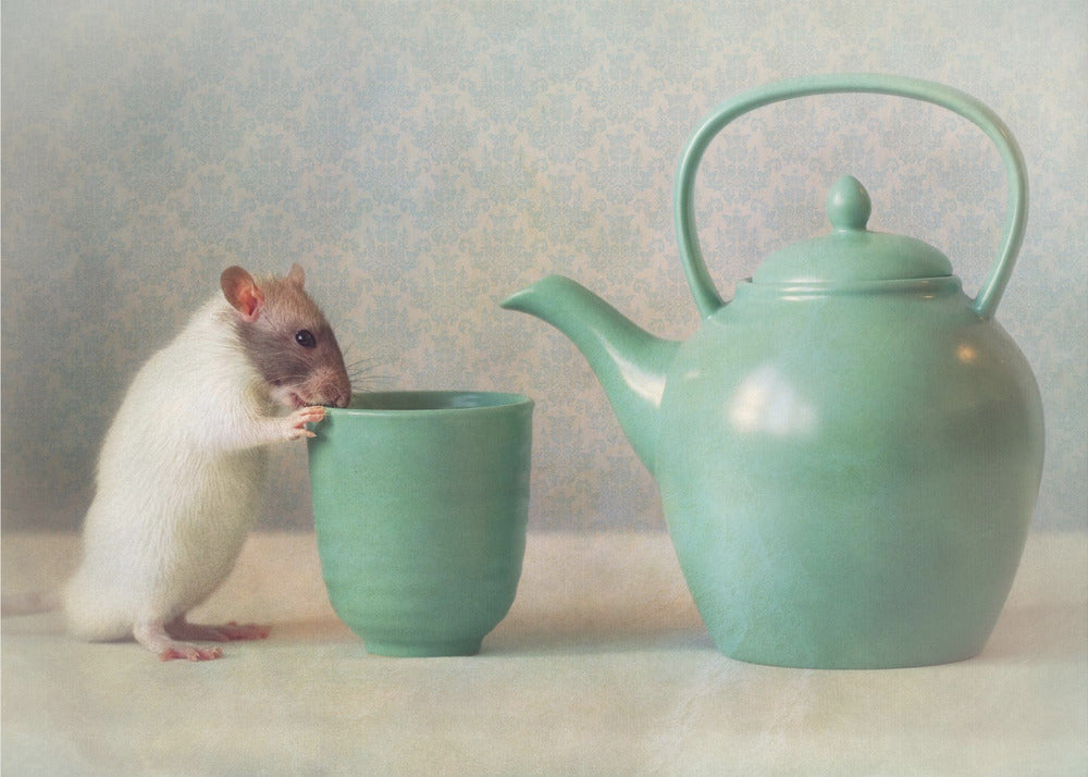 The Teapot