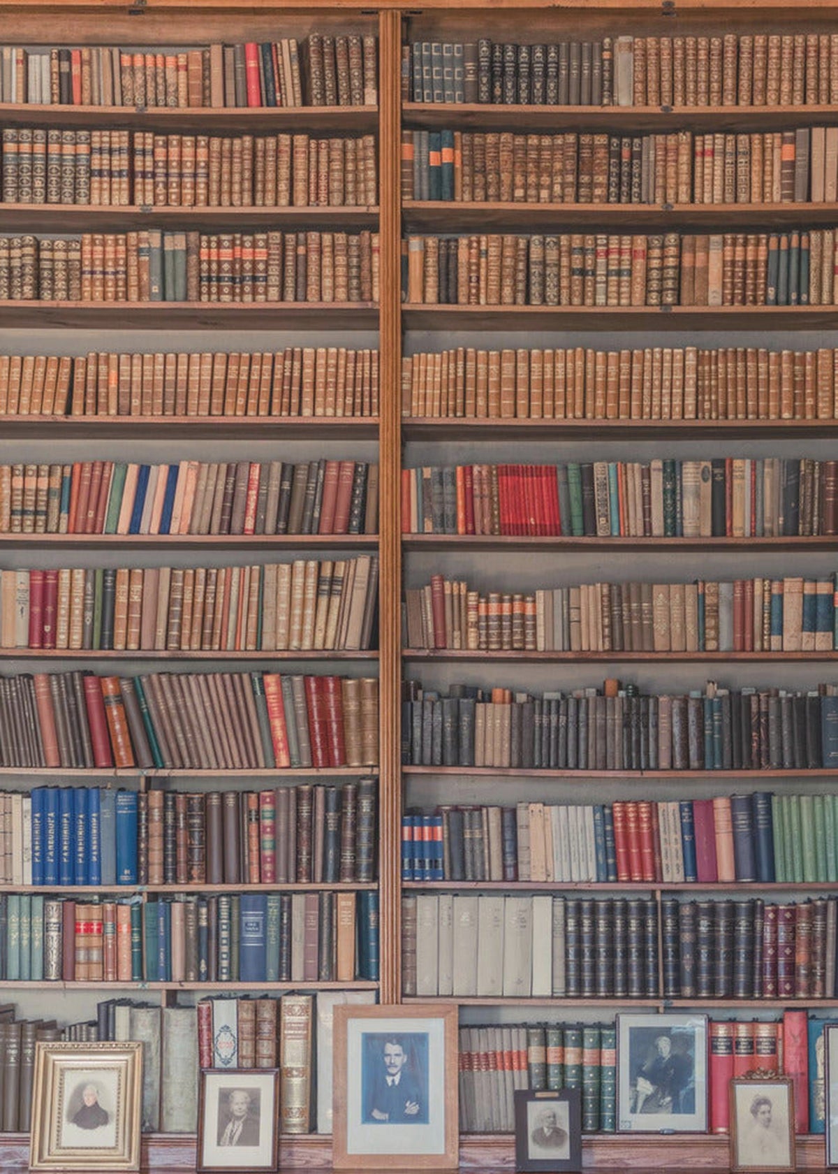 My library
