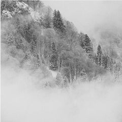 Skog the foggy mountain – kvalitetsprodukt för ett vackrare och mer hållbart hem