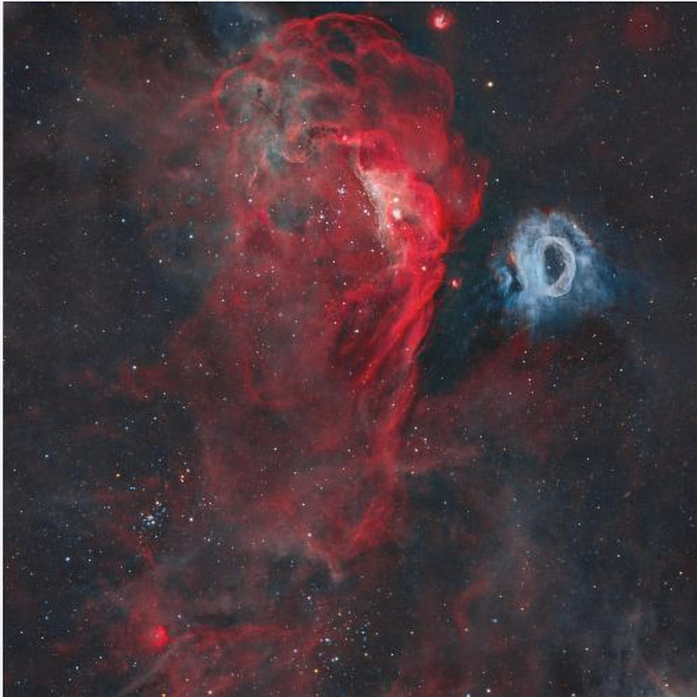 The Cosmic Reef