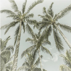 Sommar Lovely Vintage Palm Trees – kvalitetsprodukt för ett vackrare och mer hållbart hem