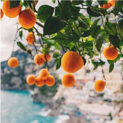 Sommar Amalfi Coast Oranges - Medelhavets frukter – kvalitetsprodukt för ett vackrare och mer hållbart hem