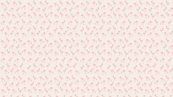 Flamingos bild 6