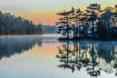 Wall mural Nature – fototapet med unikt motiv som skapar en inspirerande fondvägg